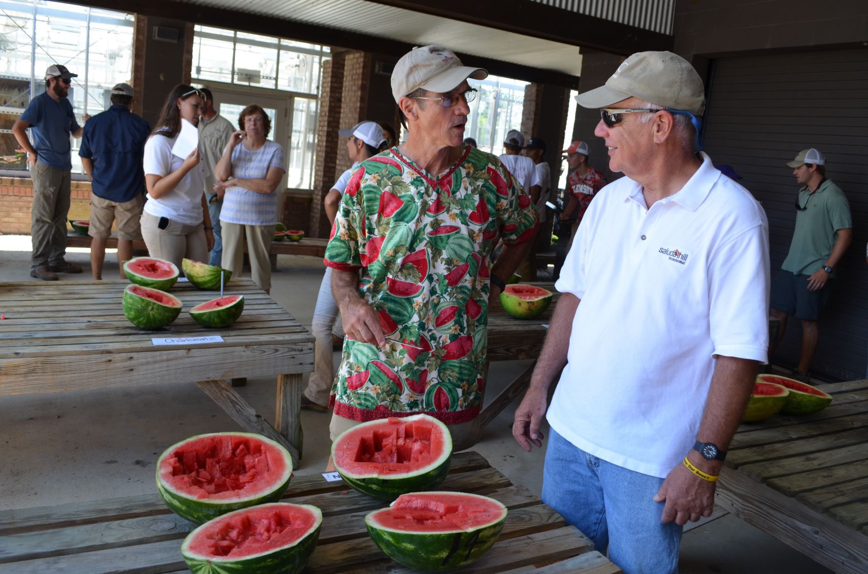 Watermelon Field Day